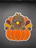 Fall Turkey